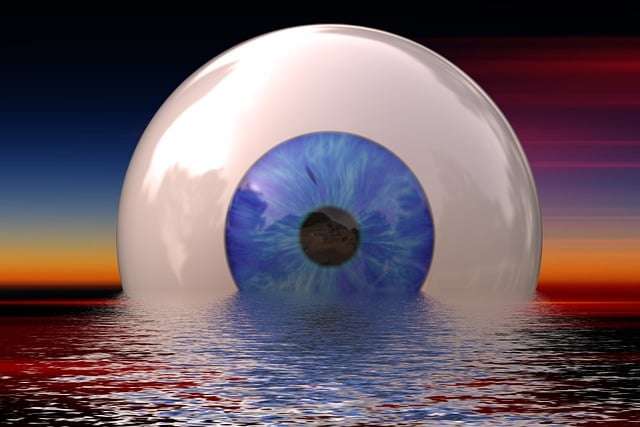 De l'émotion à l'intuition